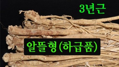 정선시장 황기, 힘내자!💪 할인 혜택 놓치지 마세요!